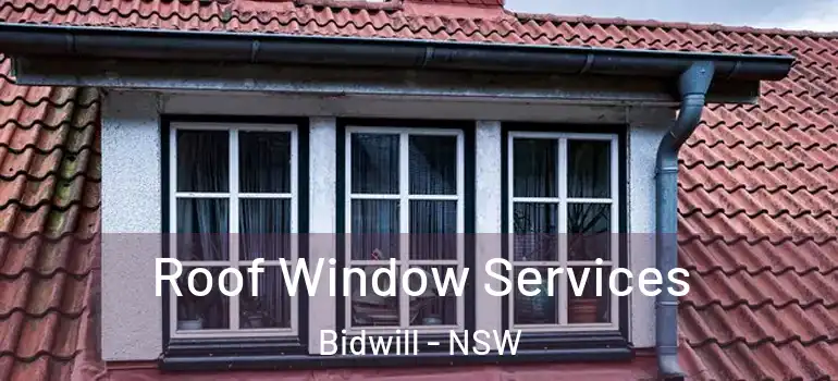 Roof Window Services Bidwill - NSW