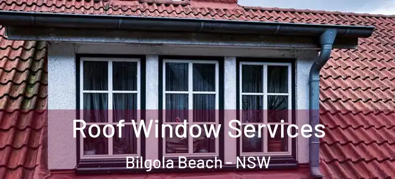 Roof Window Services Bilgola Beach - NSW