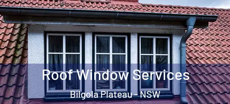 Roof Window Services Bilgola Plateau - NSW