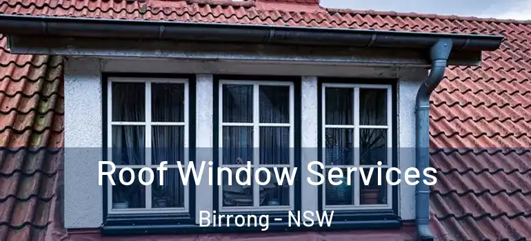 Roof Window Services Birrong - NSW