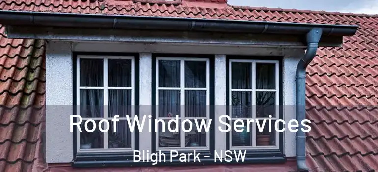 Roof Window Services Bligh Park - NSW