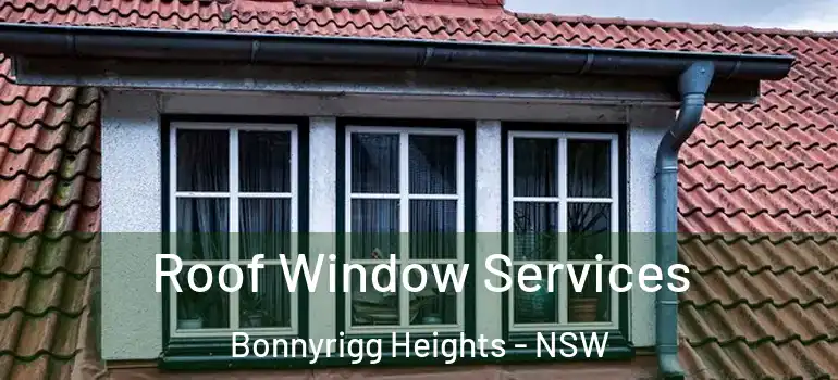 Roof Window Services Bonnyrigg Heights - NSW