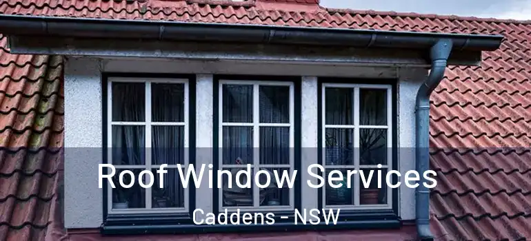 Roof Window Services Caddens - NSW