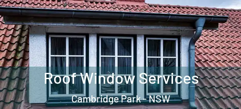 Roof Window Services Cambridge Park - NSW
