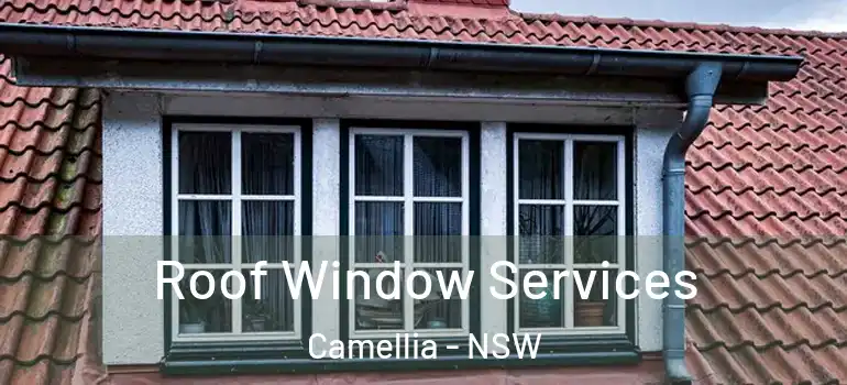 Roof Window Services Camellia - NSW