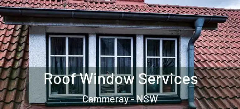 Roof Window Services Cammeray - NSW