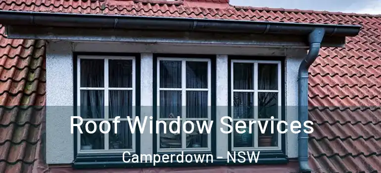 Roof Window Services Camperdown - NSW