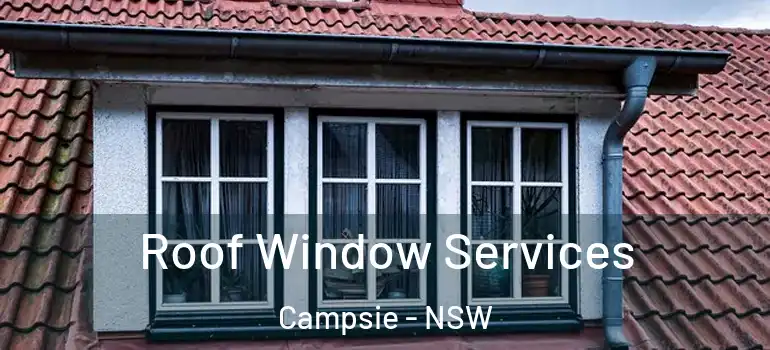 Roof Window Services Campsie - NSW