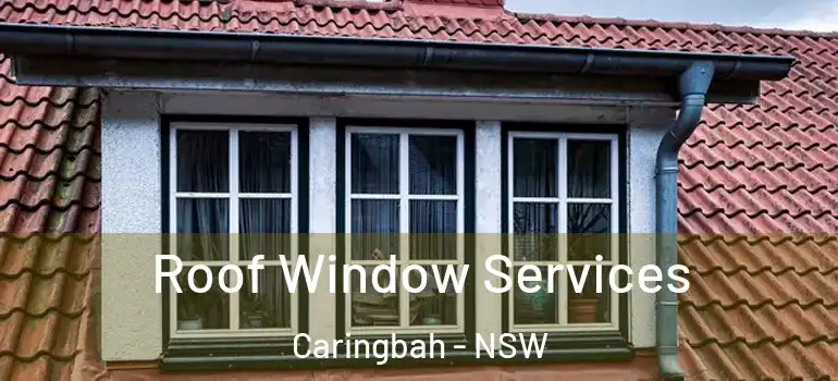 Roof Window Services Caringbah - NSW