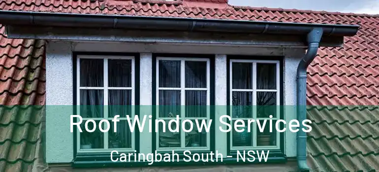 Roof Window Services Caringbah South - NSW