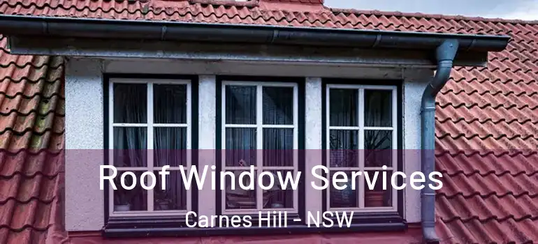 Roof Window Services Carnes Hill - NSW