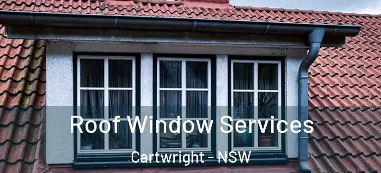 Roof Window Services Cartwright - NSW