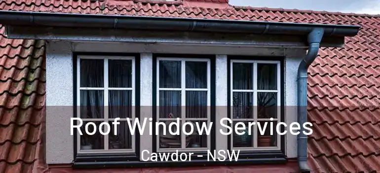 Roof Window Services Cawdor - NSW