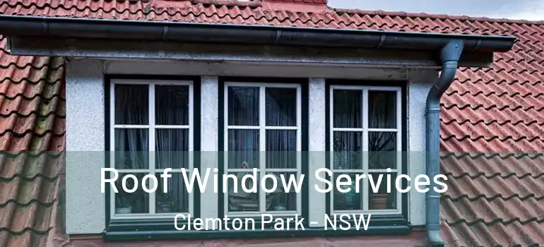 Roof Window Services Clemton Park - NSW
