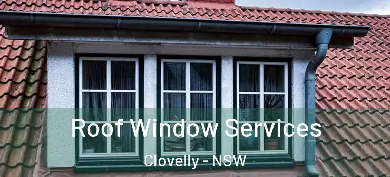 Roof Window Services Clovelly - NSW