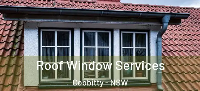 Roof Window Services Cobbitty - NSW