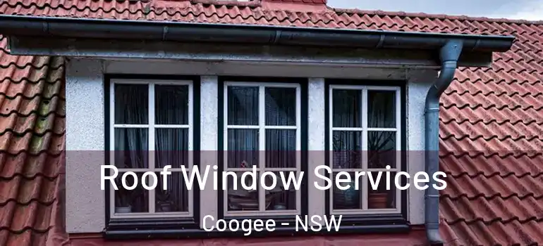 Roof Window Services Coogee - NSW