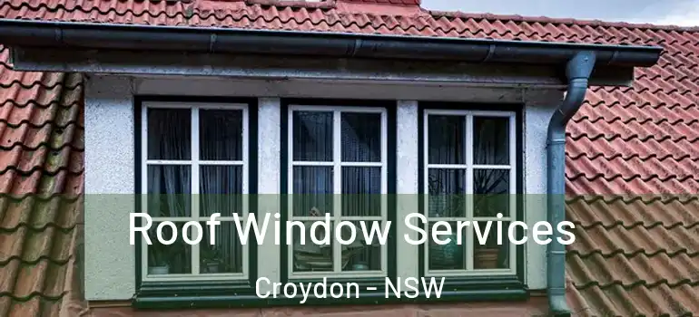 Roof Window Services Croydon - NSW