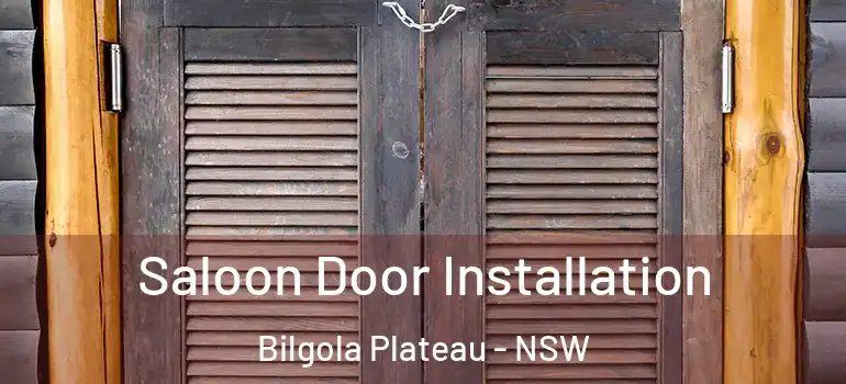 Saloon Door Installation Bilgola Plateau - NSW