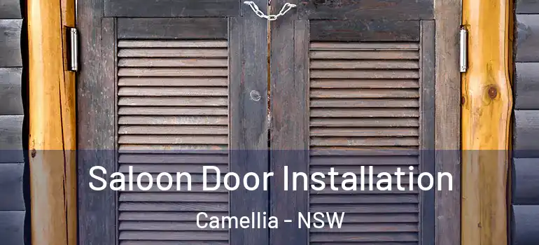 Saloon Door Installation Camellia - NSW