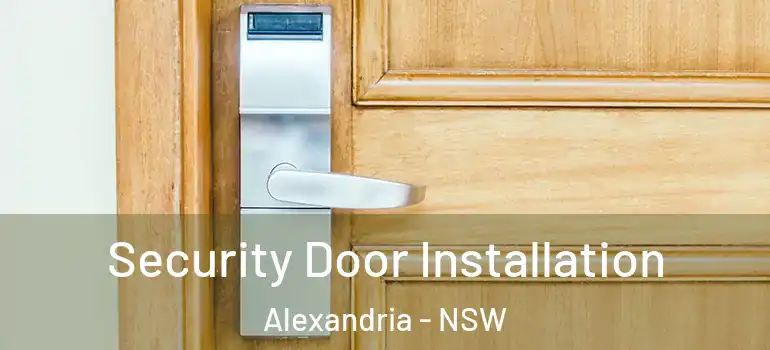 Security Door Installation Alexandria - NSW