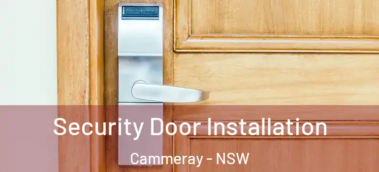 Security Door Installation Cammeray - NSW
