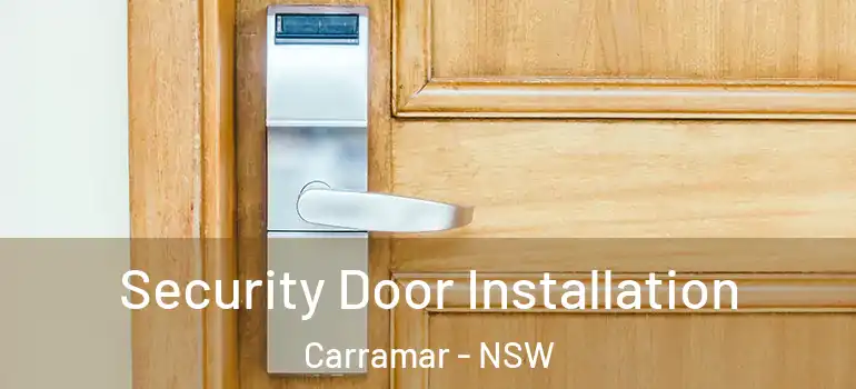 Security Door Installation Carramar - NSW