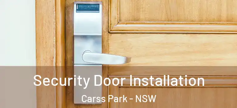  Security Door Installation Carss Park - NSW