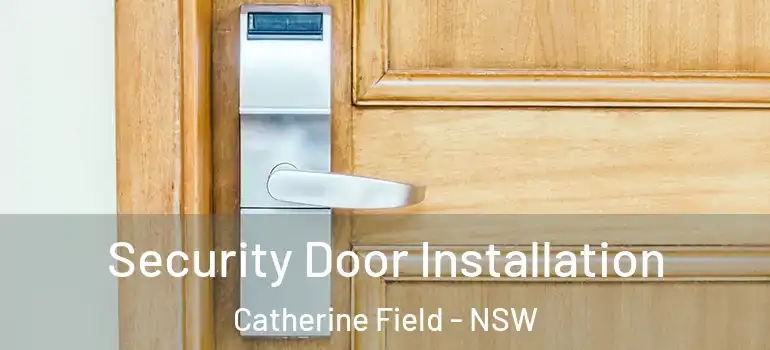 Security Door Installation Catherine Field - NSW