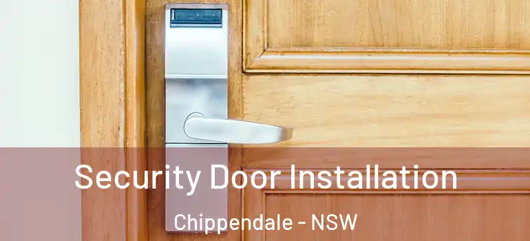 Security Door Installation Chippendale - NSW