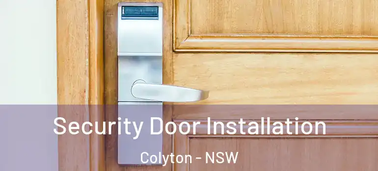 Security Door Installation Colyton - NSW