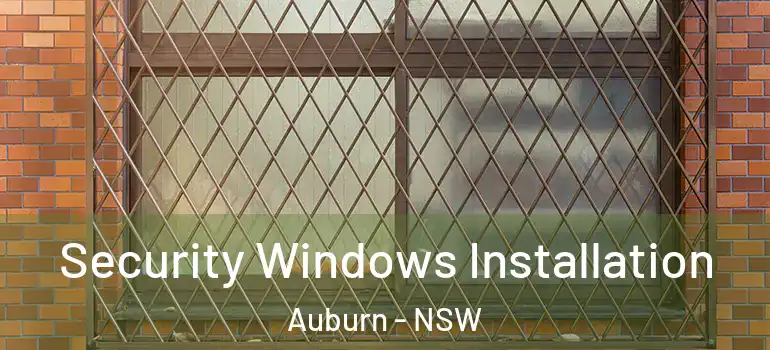 Security Windows Installation Auburn - NSW
