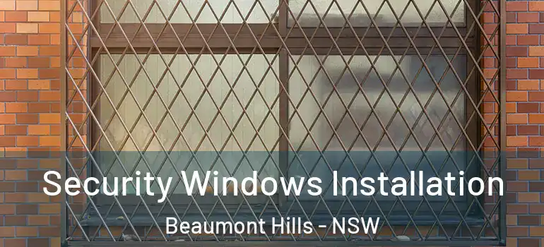 Security Windows Installation Beaumont Hills - NSW