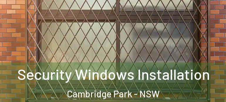 Security Windows Installation Cambridge Park - NSW