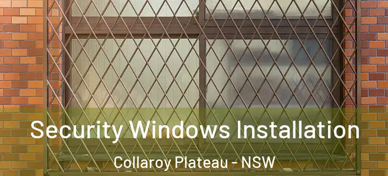 Security Windows Installation Collaroy Plateau - NSW