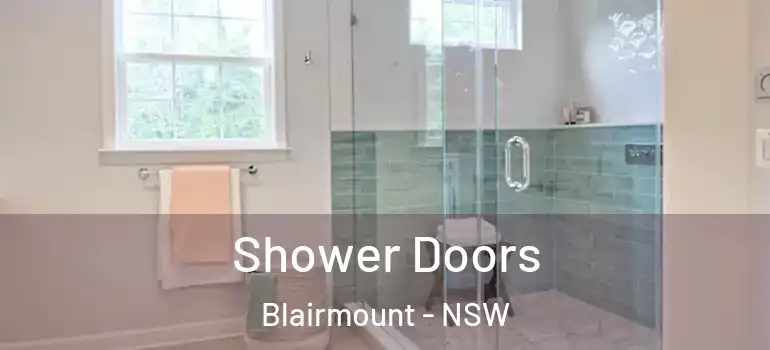 Shower Doors Blairmount - NSW