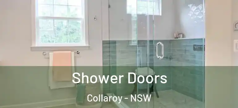 Shower Doors Collaroy - NSW