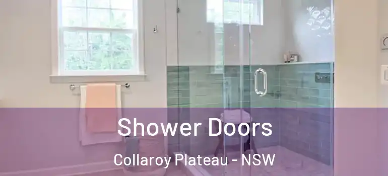Shower Doors Collaroy Plateau - NSW