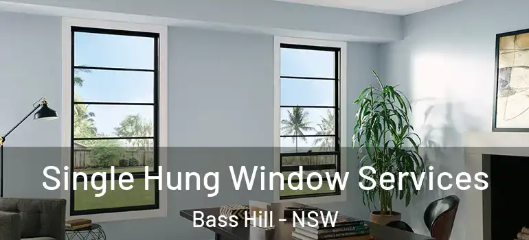 Single Hung Window Services Bass Hill - NSW