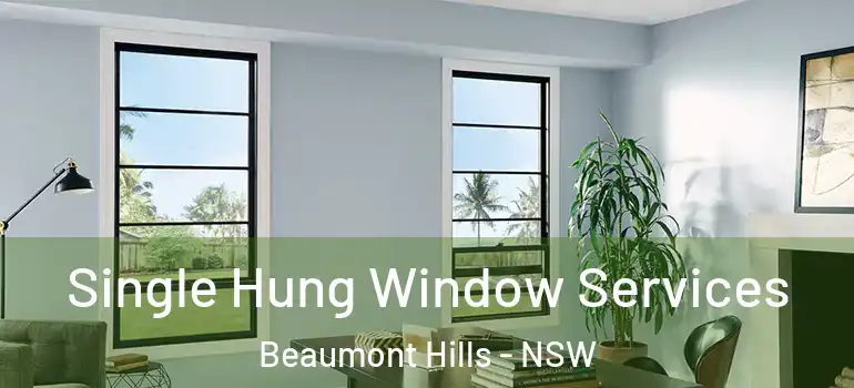  Single Hung Window Services Beaumont Hills - NSW