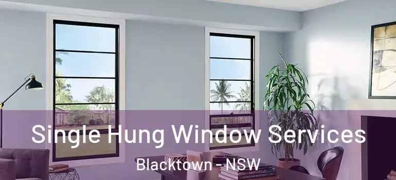 Single Hung Window Services Blacktown - NSW