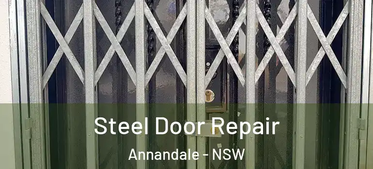 Steel Door Repair Annandale - NSW