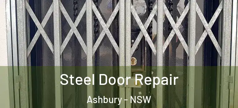 Steel Door Repair Ashbury - NSW