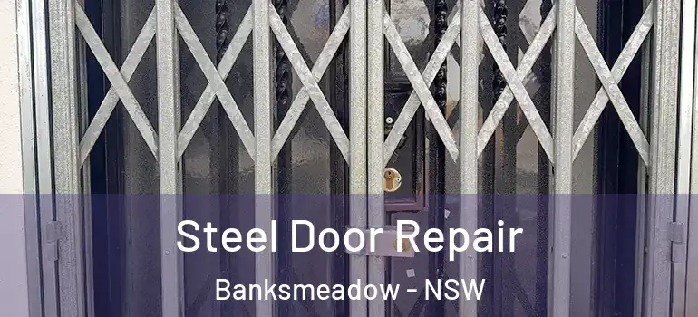 Steel Door Repair Banksmeadow - NSW