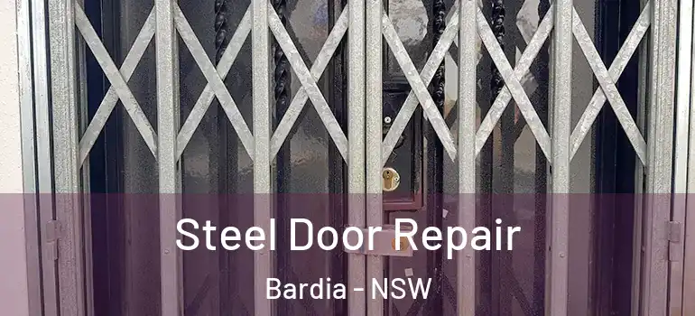Steel Door Repair Bardia - NSW