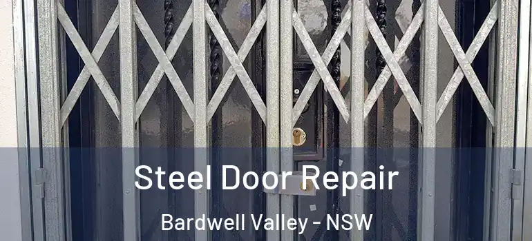 Steel Door Repair Bardwell Valley - NSW
