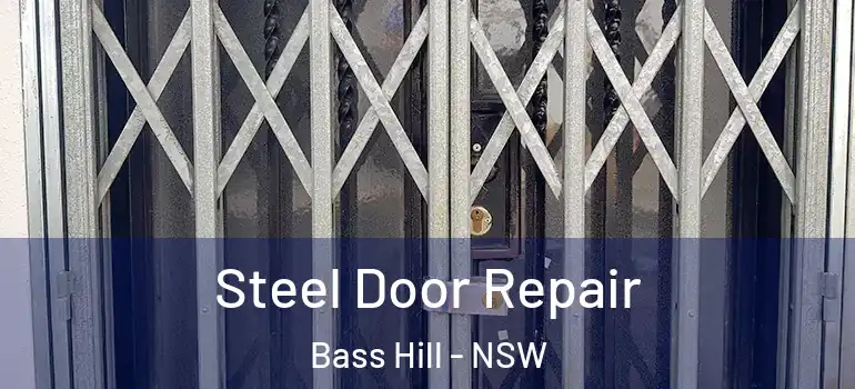 Steel Door Repair Bass Hill - NSW