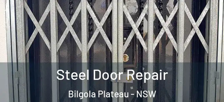 Steel Door Repair Bilgola Plateau - NSW