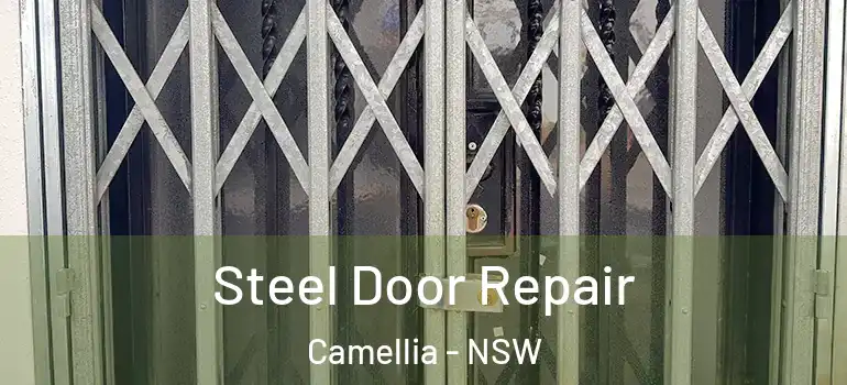 Steel Door Repair Camellia - NSW
