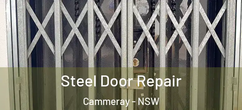 Steel Door Repair Cammeray - NSW